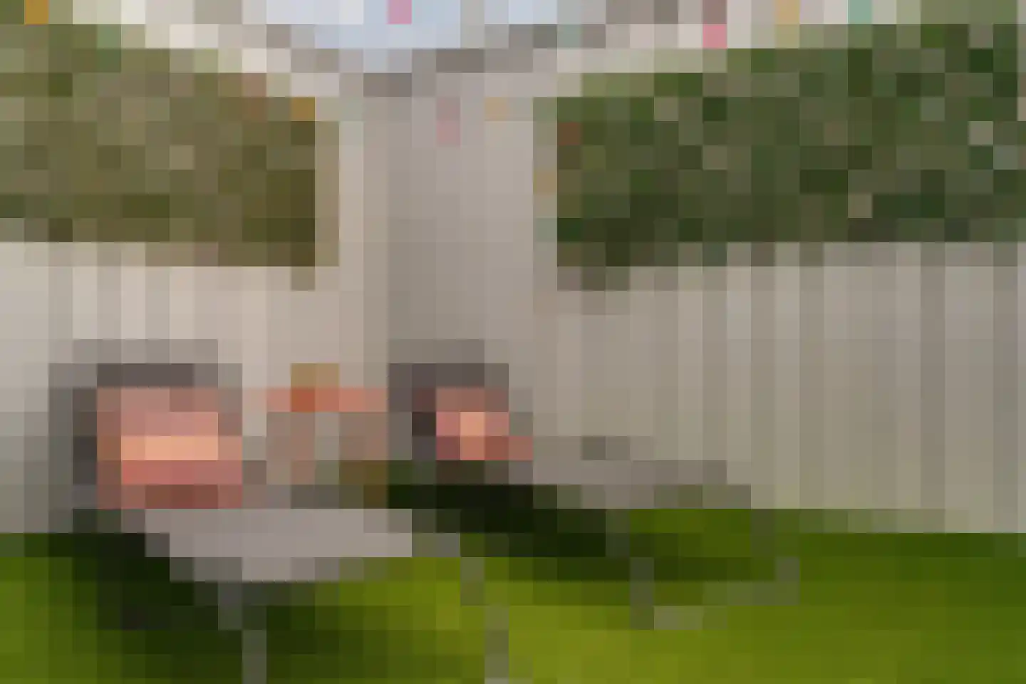 Het Hazeland 12 Westervoort thumbnail 41