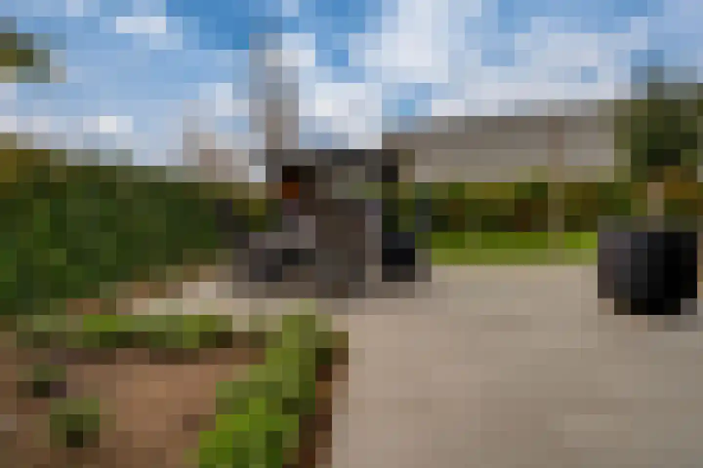 Het Hazeland 12 Westervoort thumbnail 62