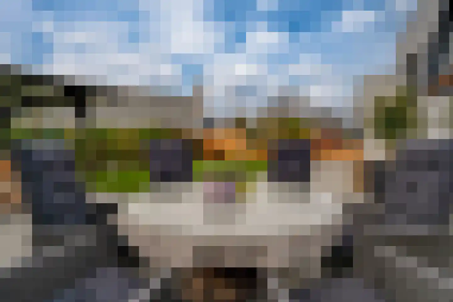 Het Hazeland 12 Westervoort thumbnail 63