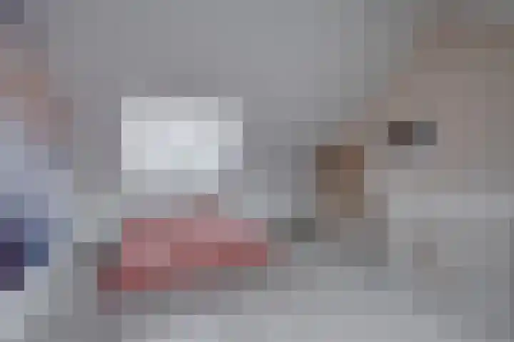 Het Hazenveld 16 Harfsen thumbnail 15