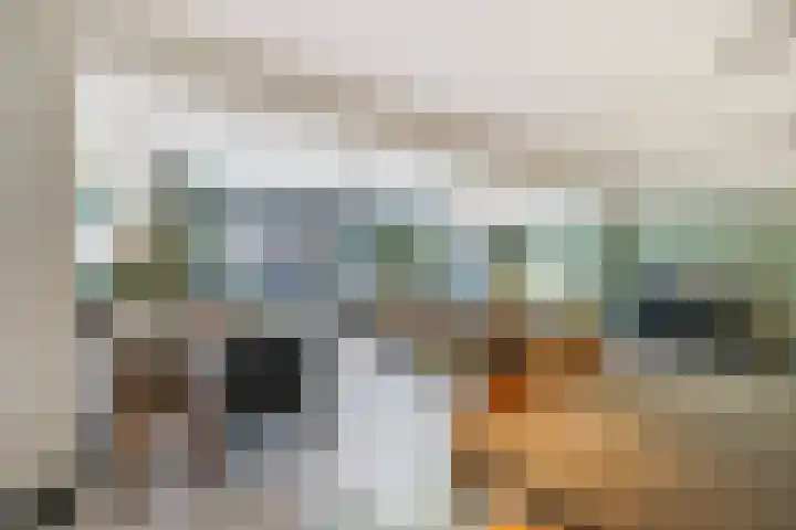 Het Hazenveld 16 Harfsen thumbnail 19
