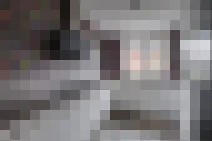 Het Hazenveld 16 Harfsen thumbnail 7