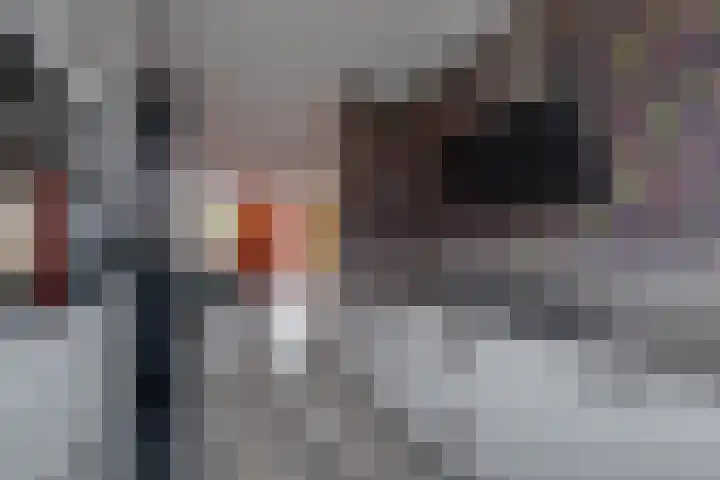 Het Hazenveld 16 Harfsen thumbnail 8