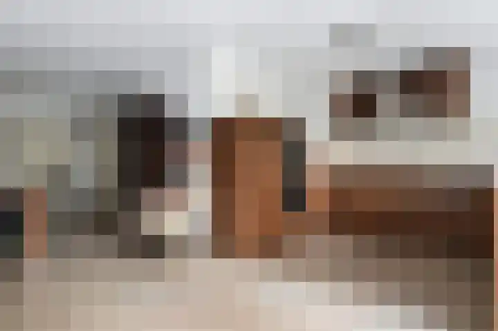 Het Hazenveld 16 Lage Mierde thumbnail 11