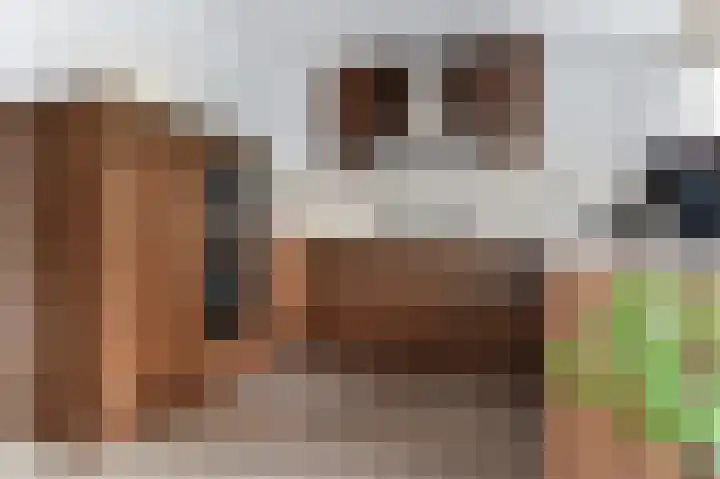 Het Hazenveld 16 Lage Mierde thumbnail 12