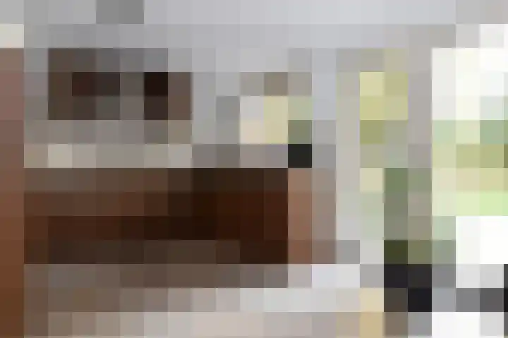Het Hazenveld 16 Lage Mierde thumbnail 13