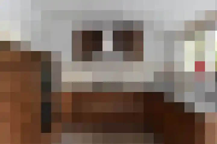 Het Hazenveld 16 Lage Mierde thumbnail 14
