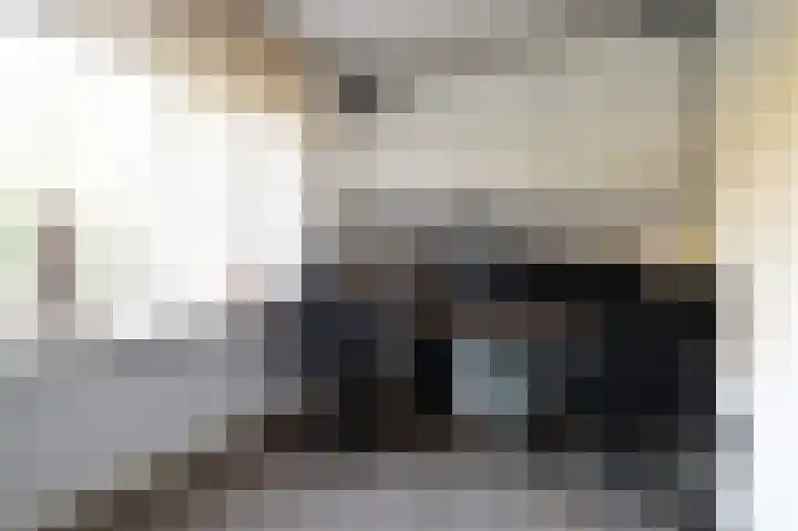 Het Hazenveld 16 Lage Mierde thumbnail 18