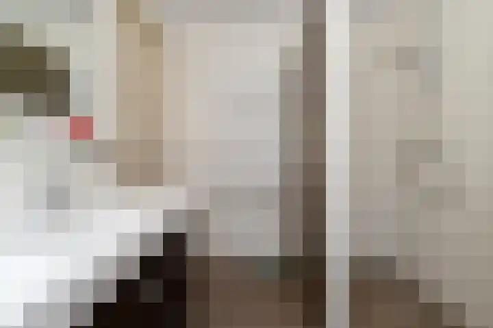 Het Hazenveld 16 Lage Mierde thumbnail 21