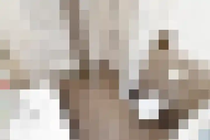 Het Hazenveld 16 Lage Mierde thumbnail 23