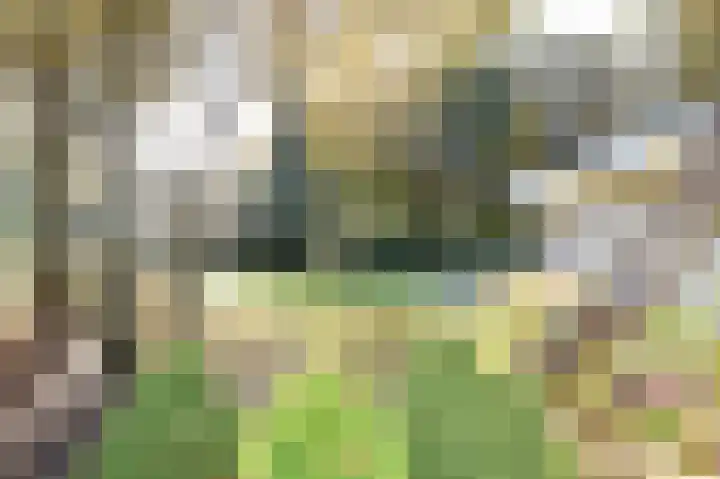Het Hazenveld 16 Lage Mierde thumbnail 28