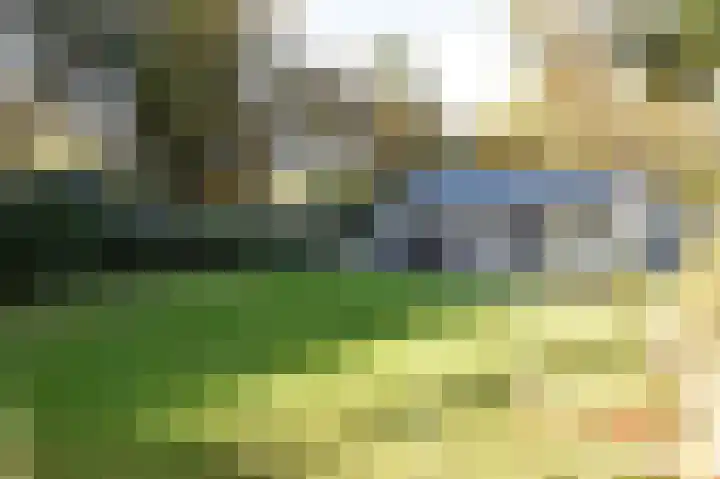 Het Hazenveld 16 Lage Mierde foto 3