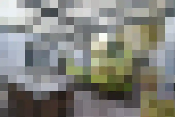 Het Hazenveld 16 Lage Mierde thumbnail 34