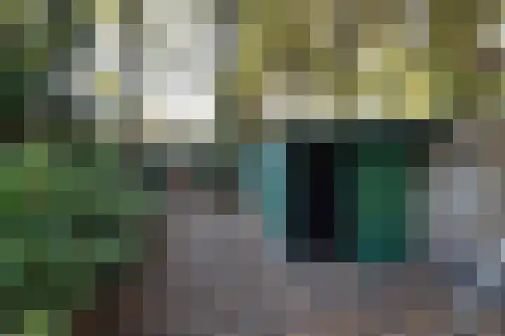 Het Hazenveld 16 Lage Mierde thumbnail 36