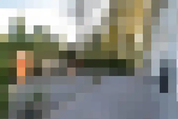 Het Hazenveld 16 Lage Mierde thumbnail 38