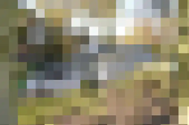 Het Hazenveld 16 Lage Mierde thumbnail 40