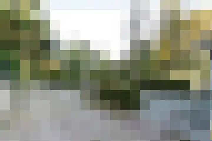 Het Hazenveld 16 Lage Mierde thumbnail 43