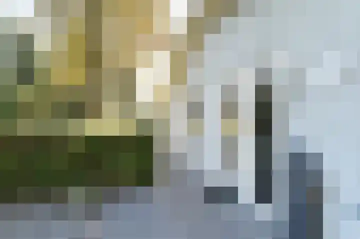 Het Hazenveld 16 Lage Mierde thumbnail 46