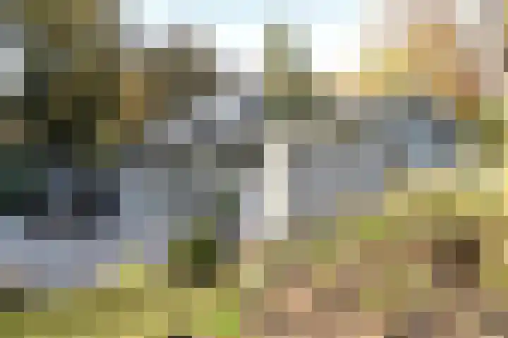 Het Hazenveld 16 Lage Mierde thumbnail 47