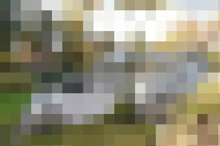 Het Hazenveld 16 Lage Mierde thumbnail 49