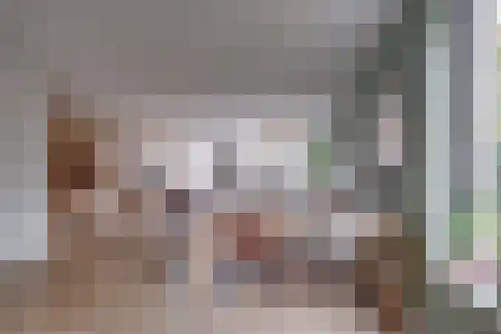 Het Hazenveld 56 Harfsen thumbnail 10
