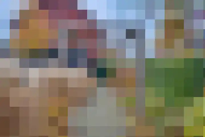 Het Hazenveld 56 Harfsen thumbnail 22