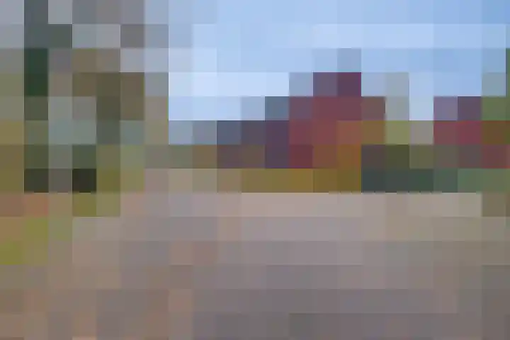 Het Hazenveld 56 Harfsen thumbnail 26