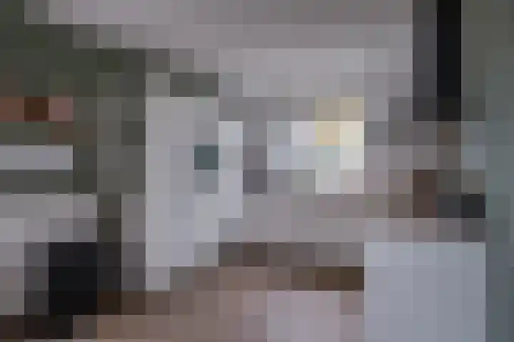 Het Hazenveld 56 Harfsen thumbnail 8