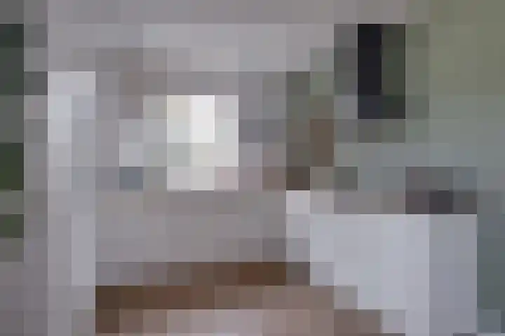 Het Hazenveld 56 Harfsen thumbnail 9