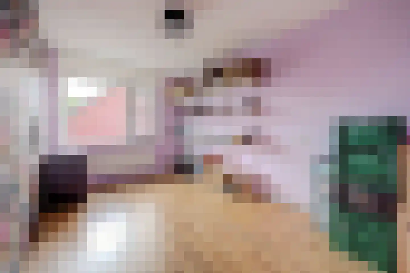 Het Hazenveld 58 Harfsen thumbnail 12