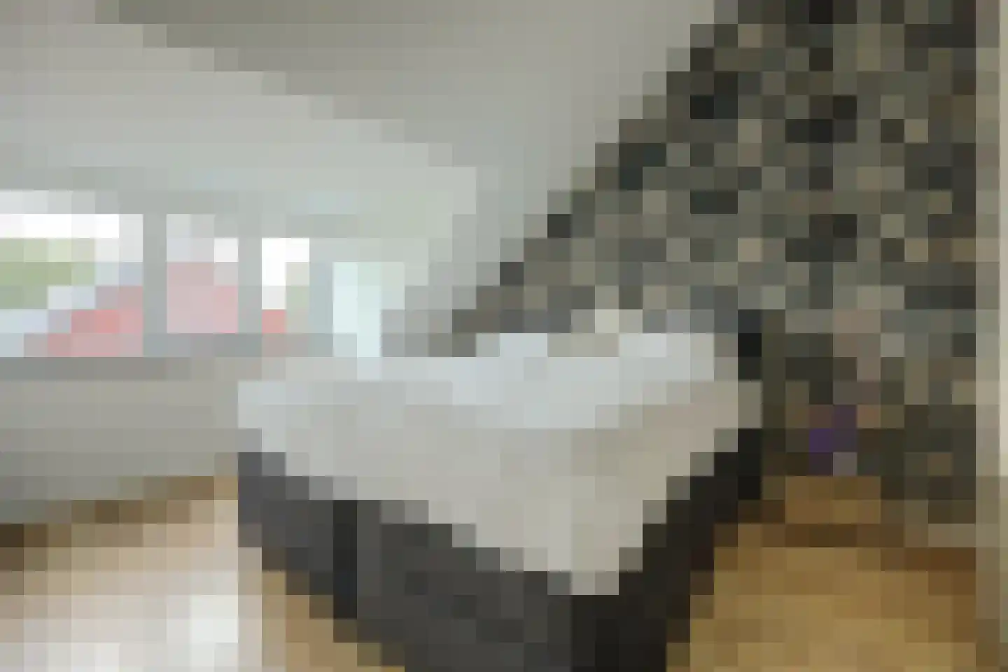 Het Hazenveld 58 Harfsen thumbnail 18