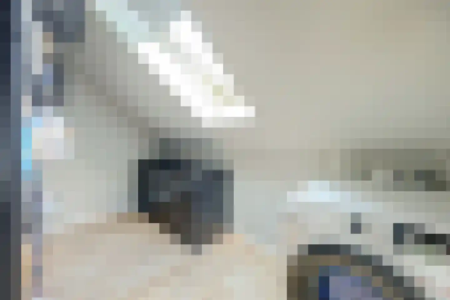 Het Hazenveld 58 Harfsen thumbnail 19