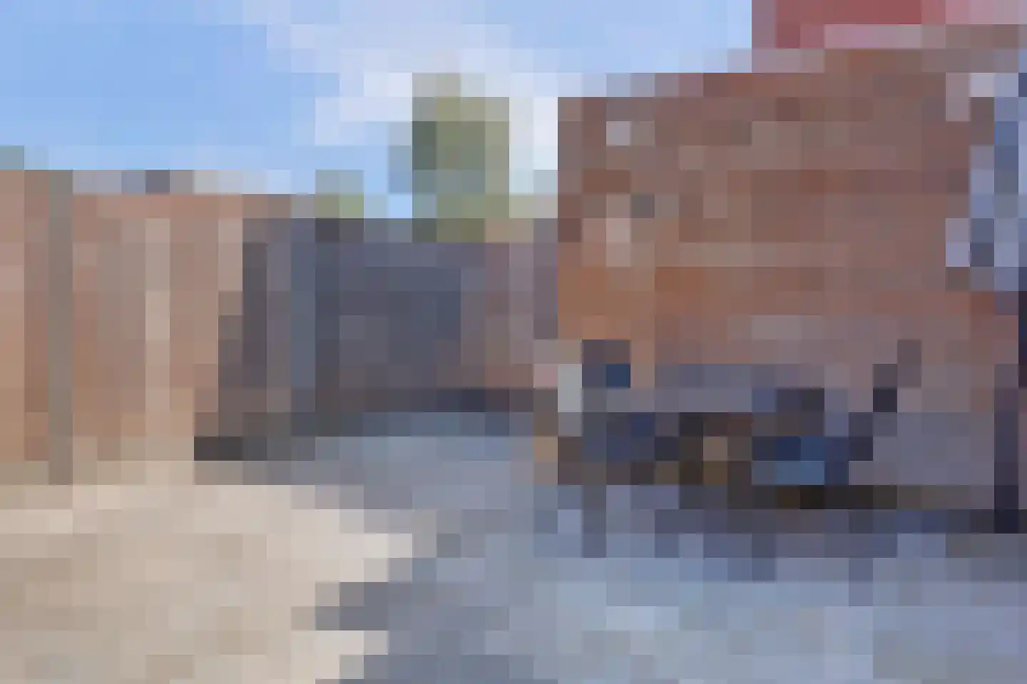 Het Hazenveld 58 Harfsen thumbnail 22