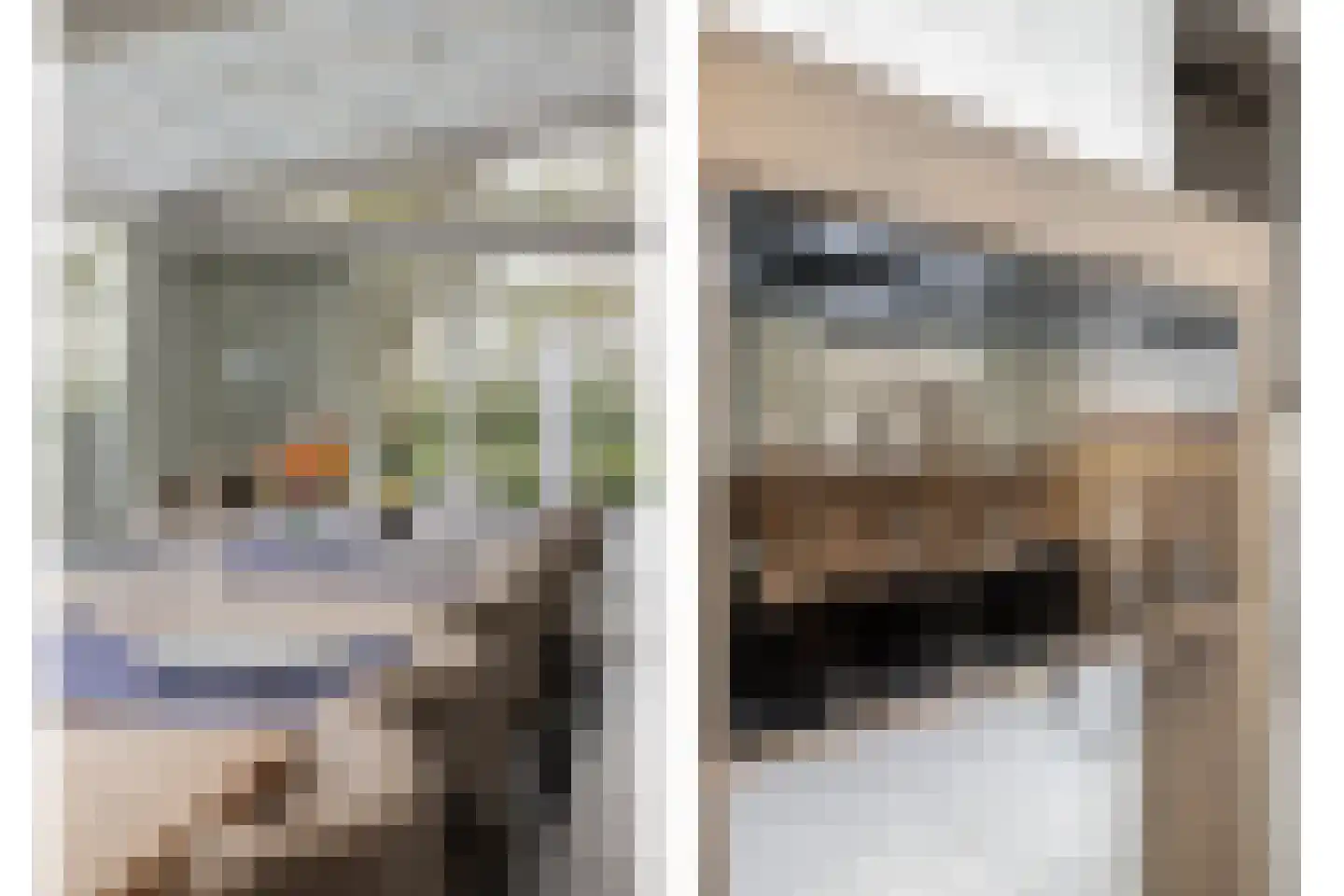 Het Heem 18 Breskens thumbnail 14