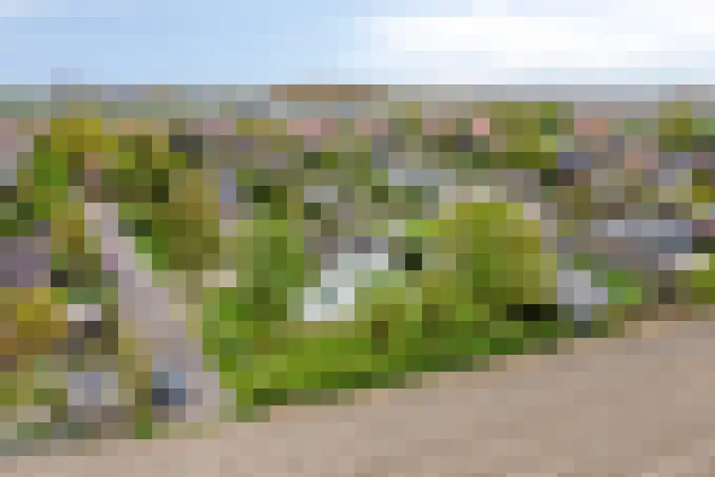 Het Heem 18 Breskens foto 3