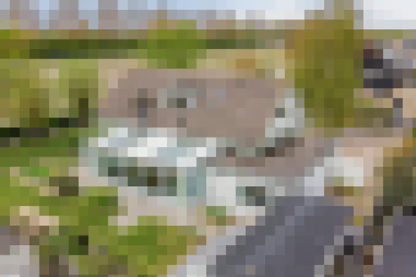 Het Heem 18 Breskens thumbnail 44
