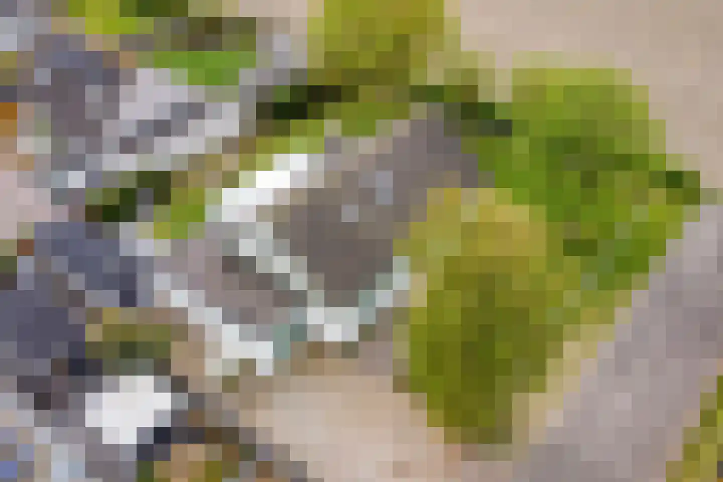 Het Heem 18 Breskens thumbnail 5