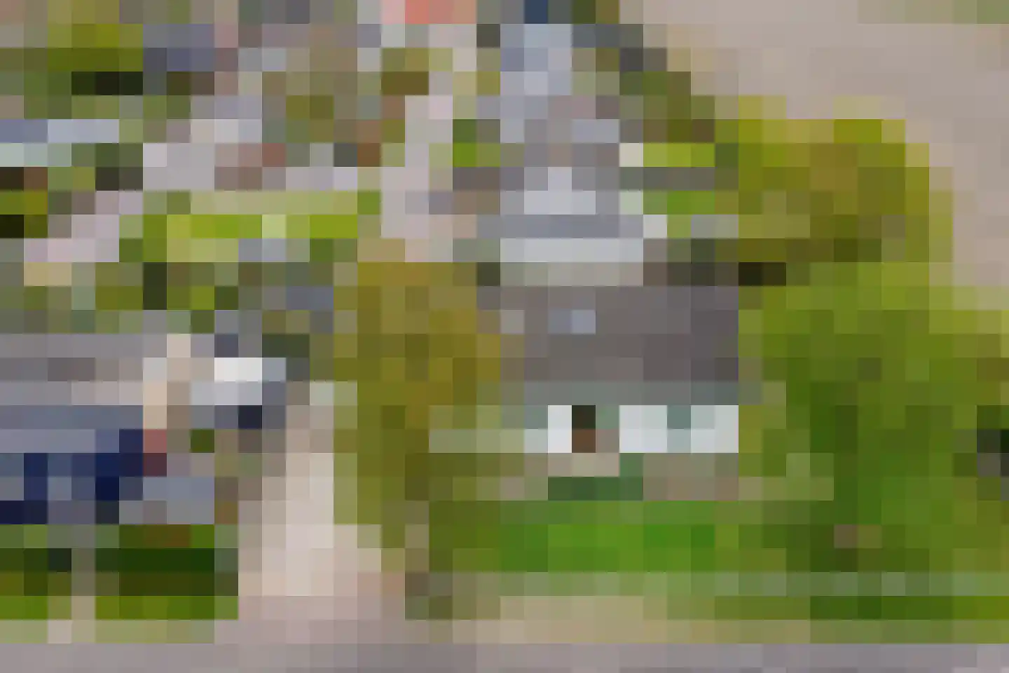 Het Heem 18 Breskens thumbnail 6