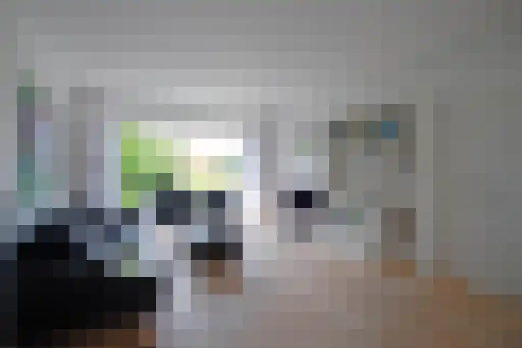 Het Heem 28 Breskens thumbnail 18