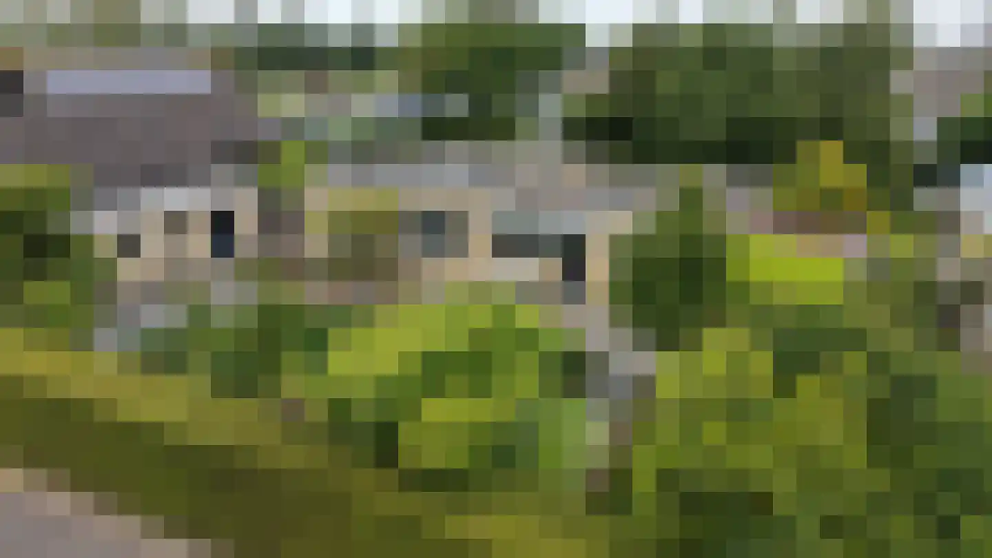 Het Heem 28 Breskens thumbnail 29