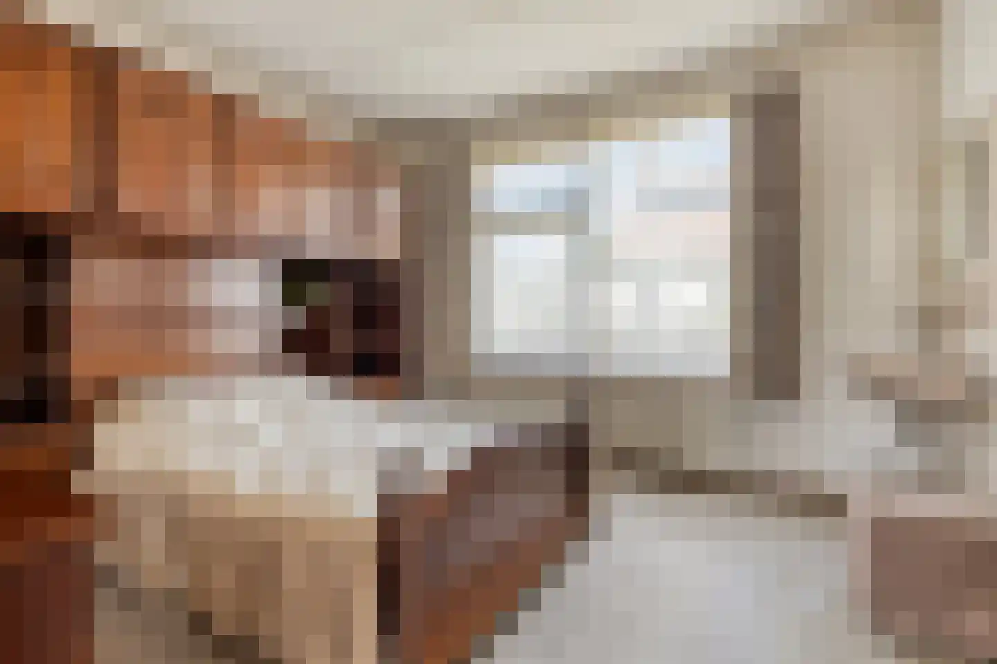 Het Heem 68 Breskens thumbnail 19