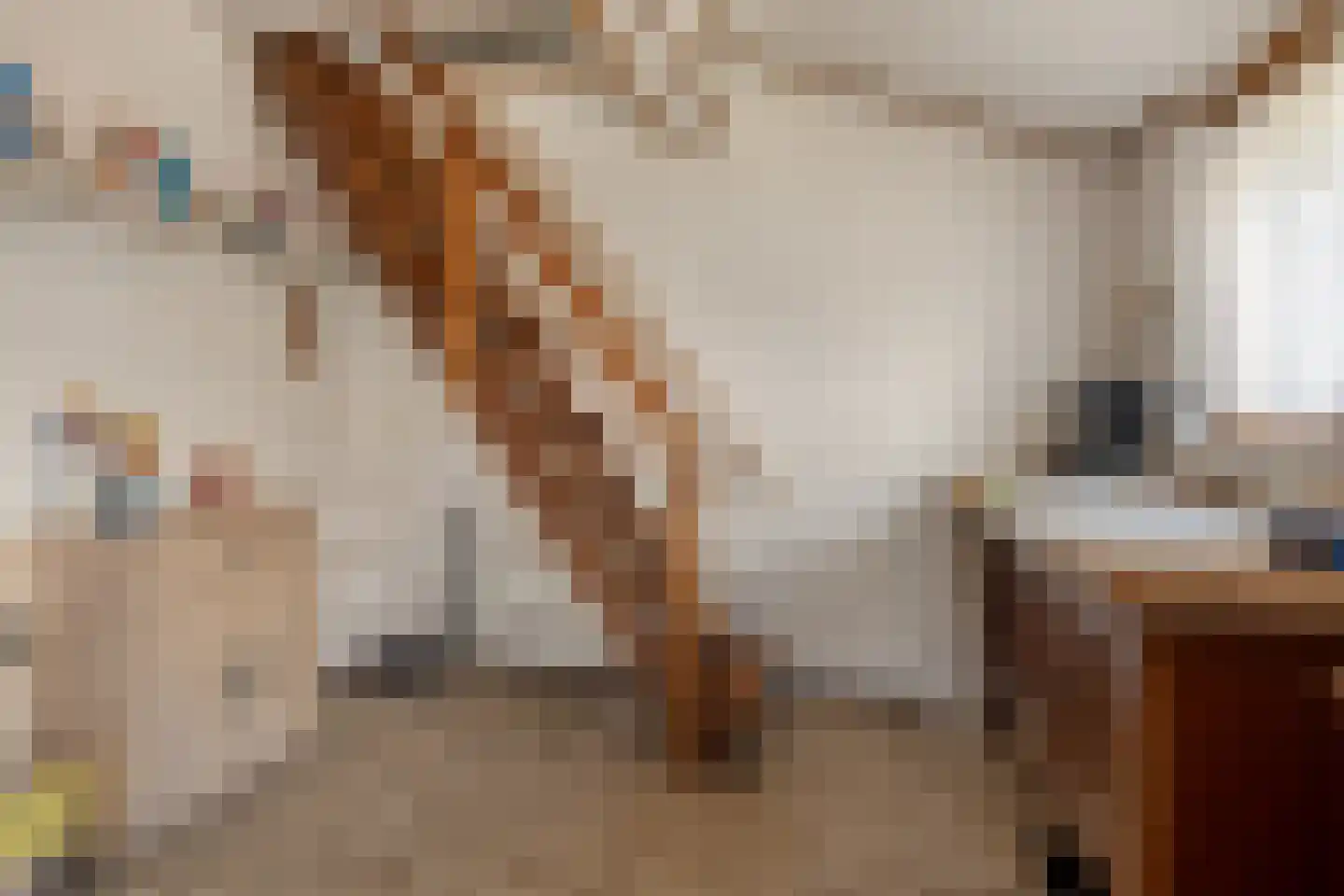 Het Heem 68 Breskens thumbnail 24