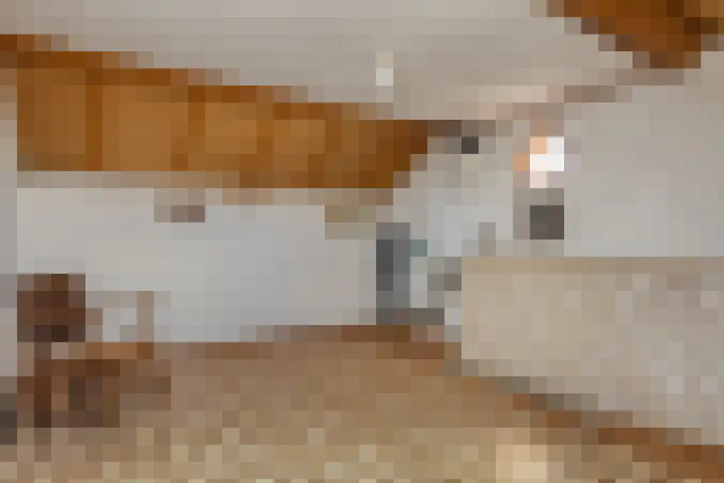 Het Heem 68 Breskens thumbnail 26