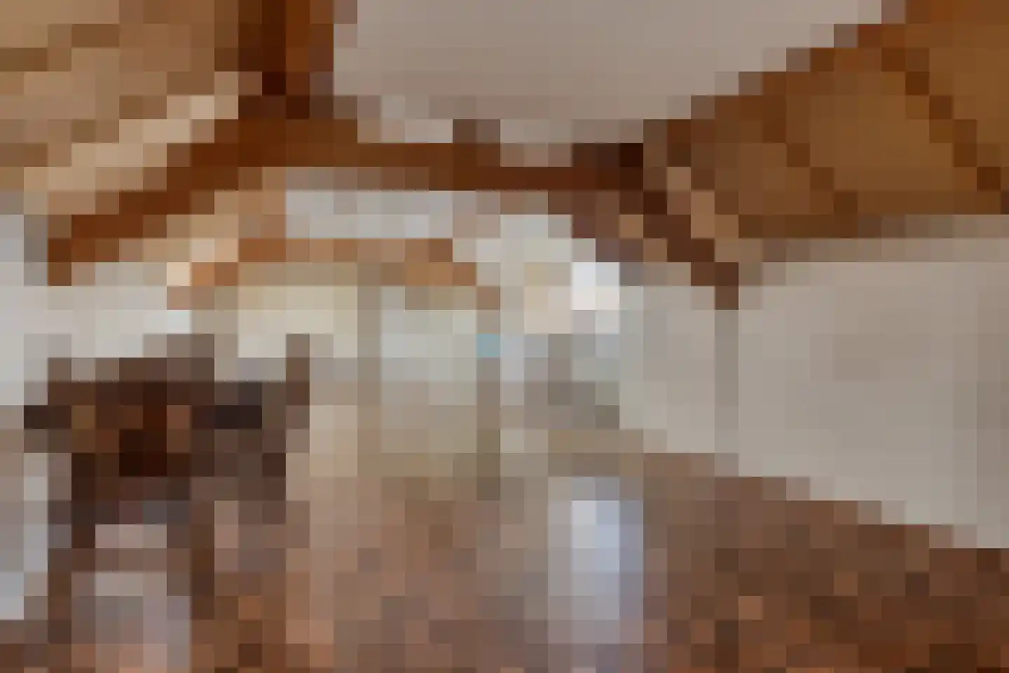 Het Heem 68 Breskens thumbnail 28