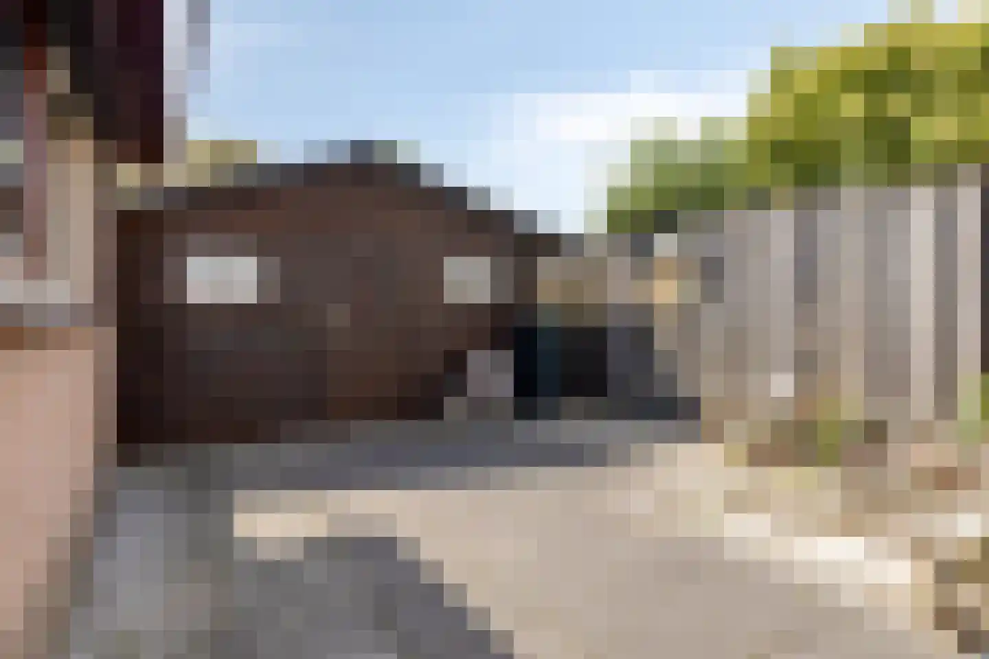 Het Heem 68 Breskens thumbnail 32
