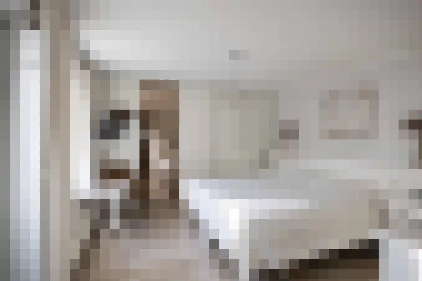 Het Heem 8 Venray thumbnail 22