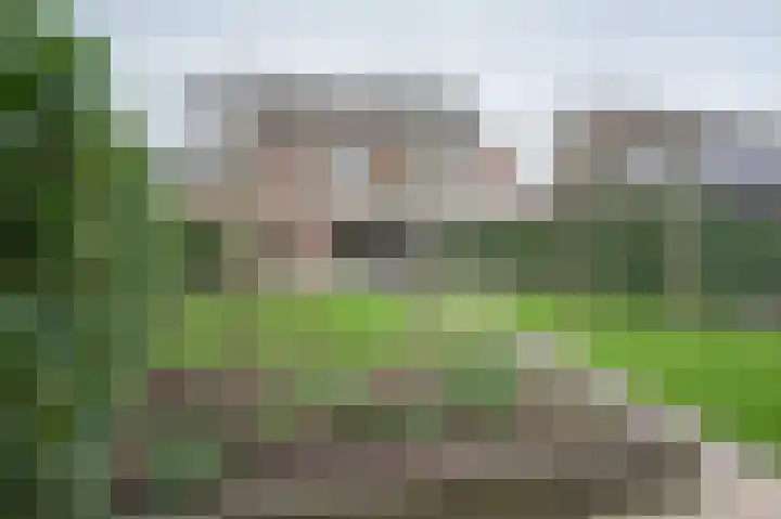 het Heijink 7 Vorden