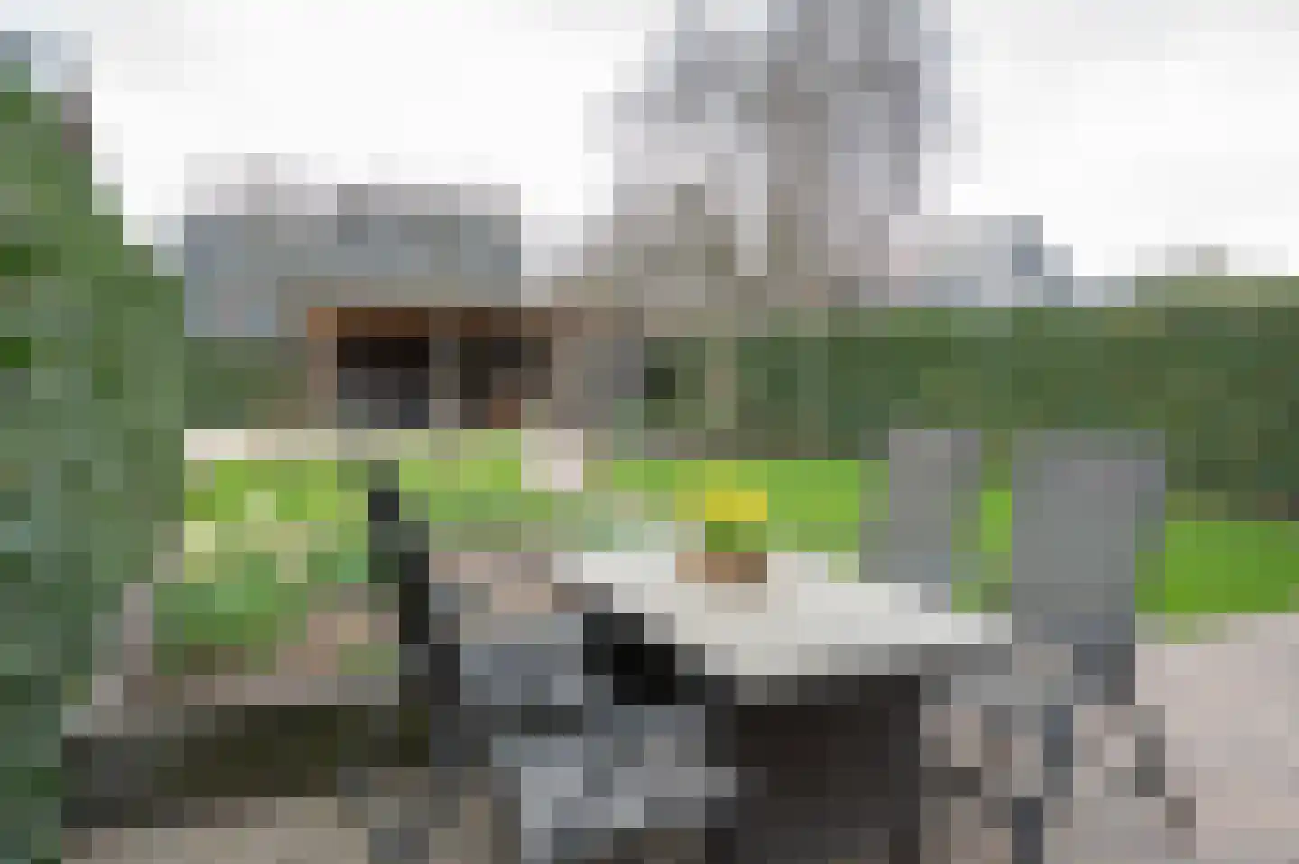 het Heijink 7 Vorden thumbnail 18