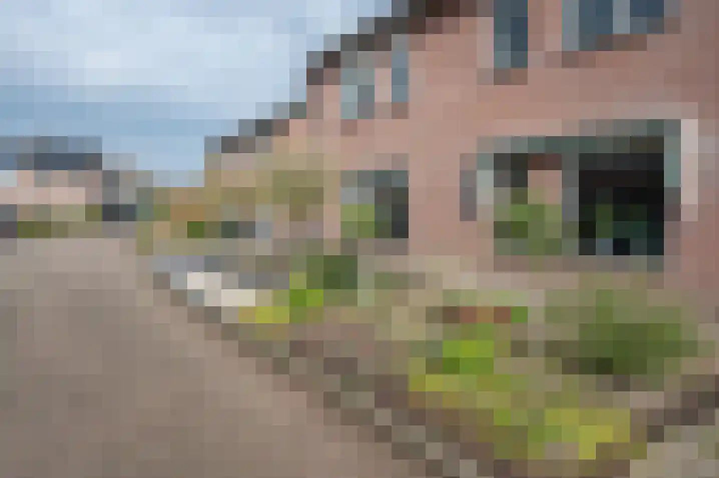 het Heijink 7 Vorden thumbnail 6