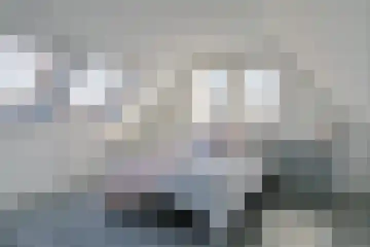 Het Helmhout 35 a Drachten thumbnail 22
